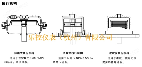 147 拷贝.jpg