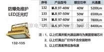 LED加油站应急灯