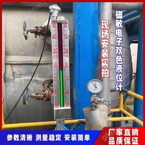 万喜堂彩票最新网址 锅炉磁敏电子双色液位计批量厂家