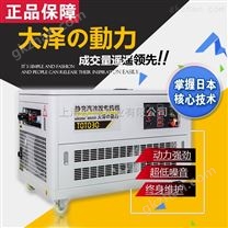 稀土永磁30千瓦水冷*式汽油发电机参数