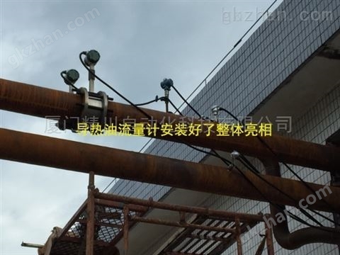 万喜堂app下载体育真人 导热油热量表，东莞客户都说精川耐用