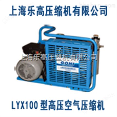 万喜堂app下载老虎机 LYX100迷你型潜水呼吸高压空气压缩机