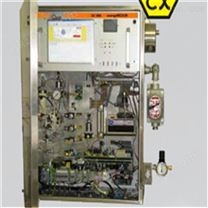 美国CHROMATOTEC硫化氢分析仪