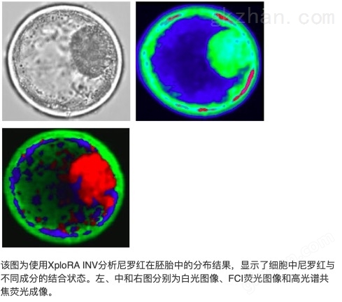 HORIBA JY XPLORA INV拉曼光谱仪