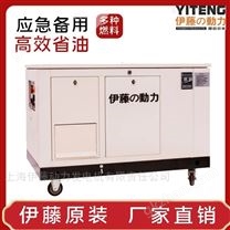 YT15RSE-ATS天然气发电机15KW