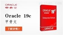 Oracle数据库19c