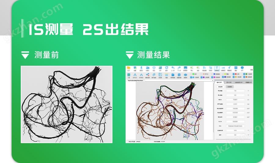 万喜堂app下载老虎机 植物根系分析仪.jpg