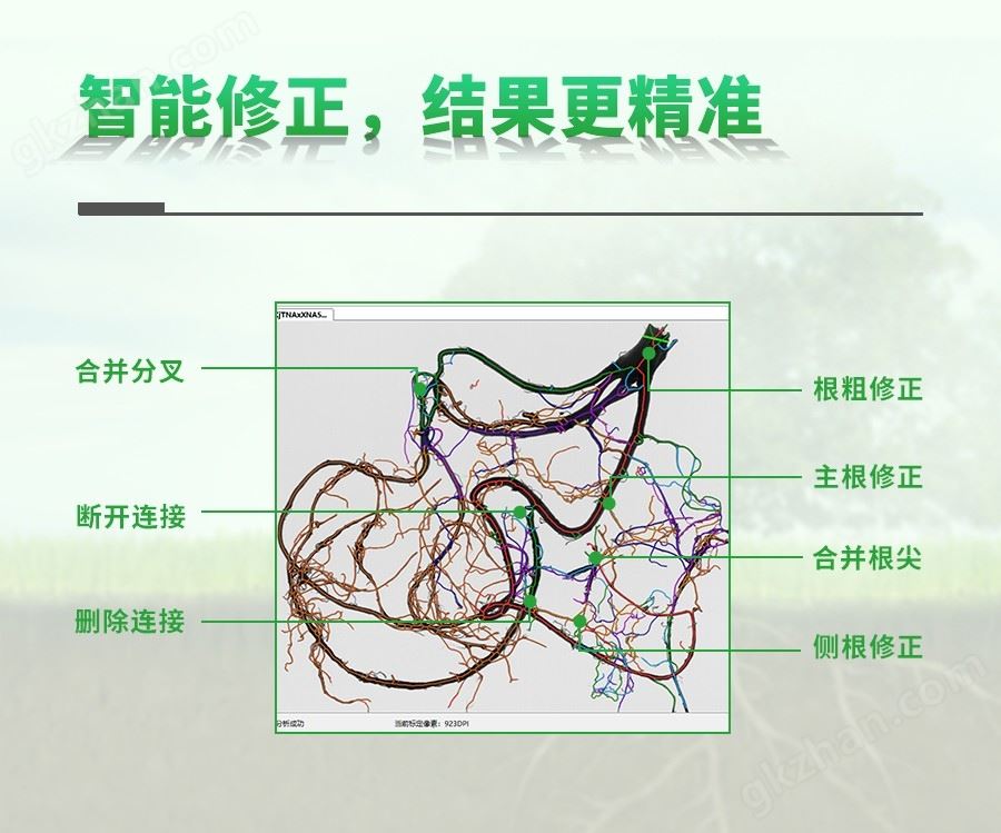 万喜堂app下载老虎机 植物根系分析仪.jpg