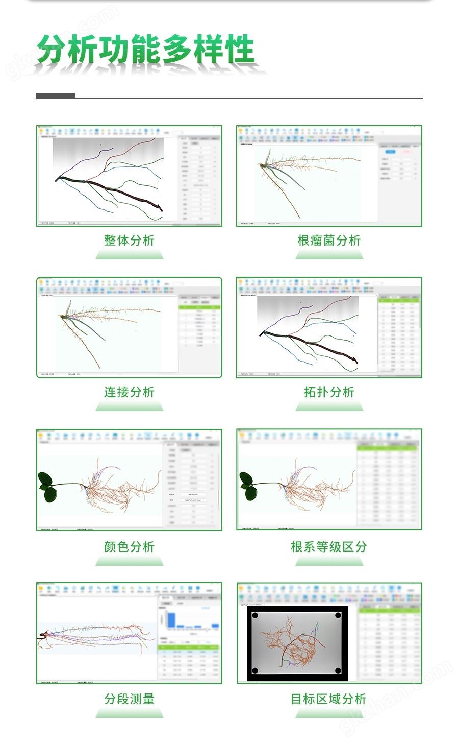 万喜堂app下载老虎机 植物根系分析仪.jpg