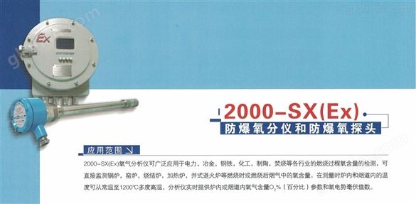 NOVATECH 2000-SX 型氧分析仪