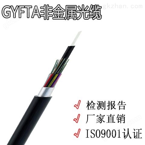 万喜堂app下载老虎机 GYFTA非金属铠装光缆国标厂家定制