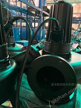 万喜堂app下载老虎机 蓝深潜水污水污物排污泵