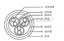 DJYP3V 铜芯聚乙烯绝缘铝箔/塑料薄膜复合带分屏蔽电缆