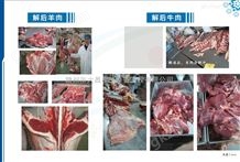 肉类解冻机，肉类解冻机报价