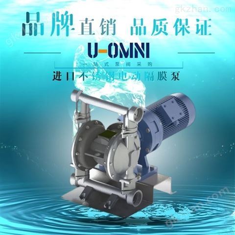 万喜堂彩票注册网站 进口高温导热油泵-品牌U-OMNI