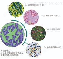 Tissue Mining Toolkit 基于AI深度学习支持的组织开发工具包