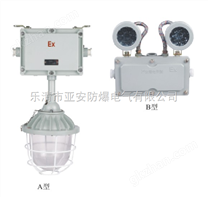 BAJ52防爆应急灯|防爆双头应急灯|防爆荧光灯