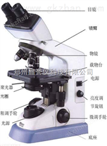 广安显微镜|生物显微镜|光学显微镜价格