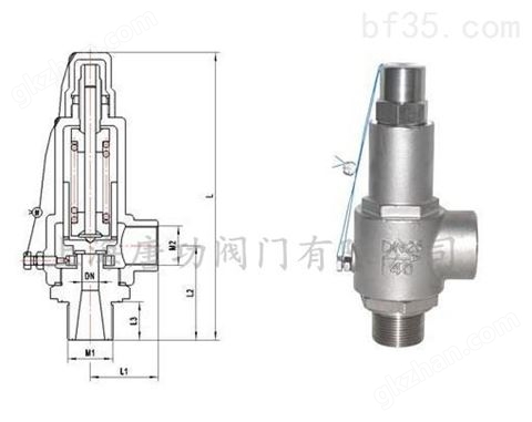 万喜堂app下载老虎机 DA22F-25P DA22F-40P低温安全阀