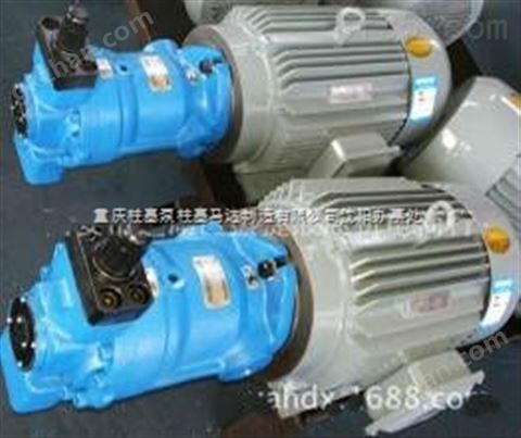 万喜堂彩票注册网站 10MYCY-Y100L2-4配3KW4极电机（直连式）