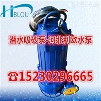 立式潜水型吸沙泵船用抽砂泵潜水式泥浆泵NSQ80-70-25含次级叶轮搅拌轮渣浆泵