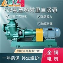 FZB型卧式氟塑料合金单相液体输送自吸泵