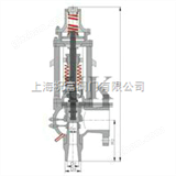 进口蝶形弹簧式安全阀,进口英国UK优科安全阀