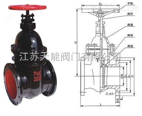 天能铸铁暗杆闸阀Z45T-10