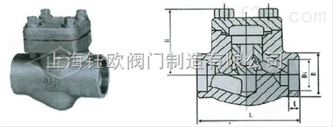 万喜堂app下载官方入口 承插焊锻钢止回阀