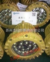 氢气房30W防爆吸顶LED灯