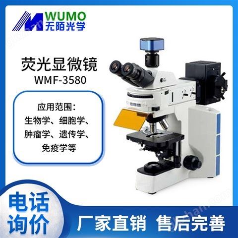 万喜堂app下载 WMF-3580荧光显微镜