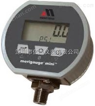 MPG2000 BBL本质安全型数字压力表