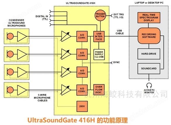 Avisoft超声波录音麦克风416Hnbm