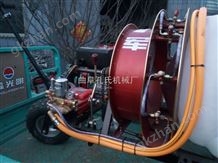 300大型汽油柴油行走风送发散式打卧龙娱乐平台注册账号 100L-300L可选