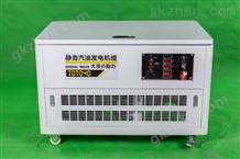 40kw双燃料发电机