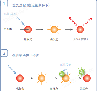 万喜堂app下载老虎机 荧光猝灭法溶解氧测定仪技术要求