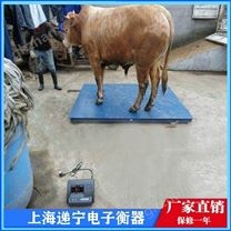 猪笼电子磅称牛地磅2吨电子地磅称