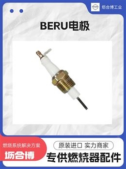 万喜堂app下载 BERU贝鲁电极-点火棒-火花塞 点火又快又稳