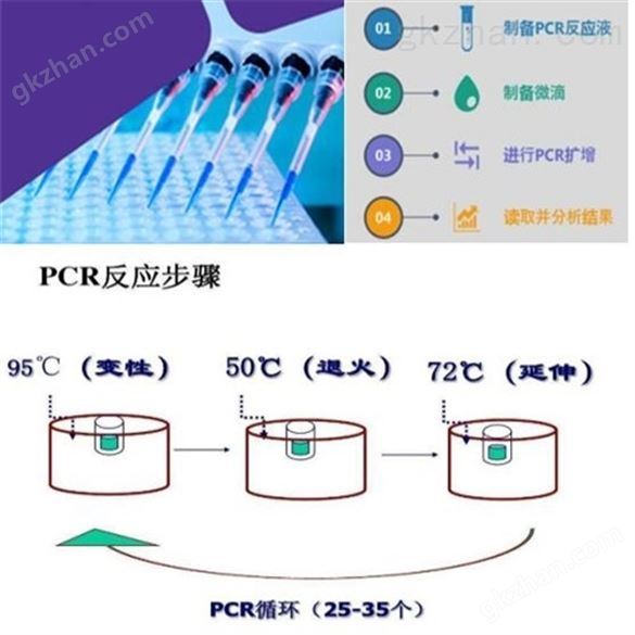 巴氏*线虫探针法荧光PCR检测试剂盒