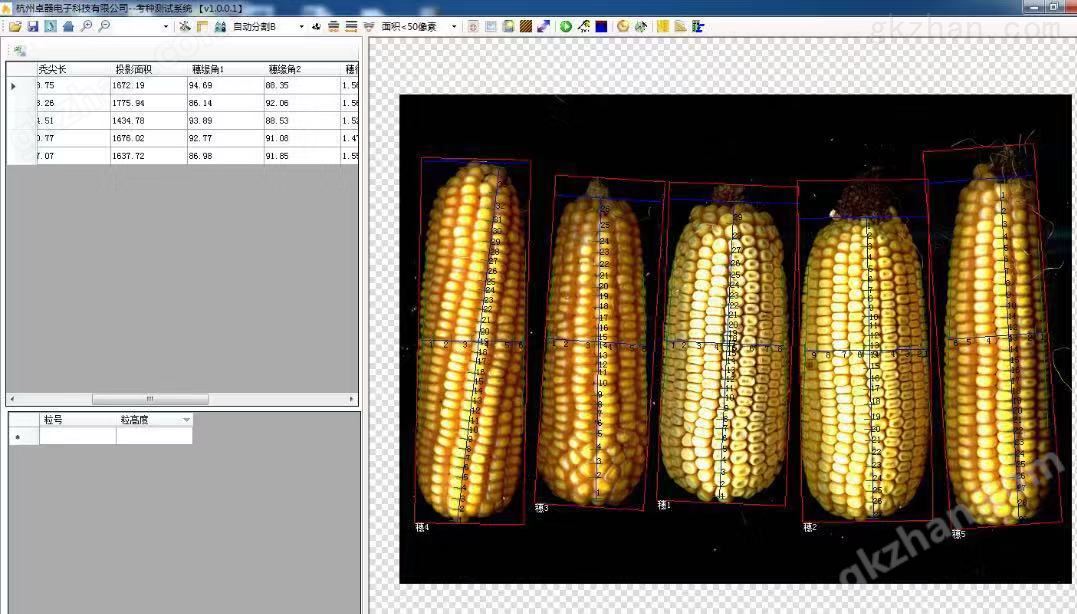 玉米考种分析系统 软件
