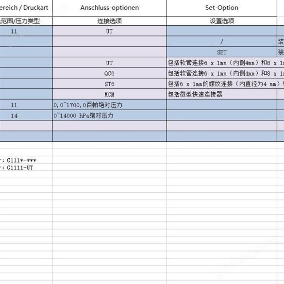 Greisinger格瑞星G11压力计 希而科