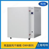 笃特生产GWH-9240B电热恒温高温鼓风干燥箱500度高温老化箱新材料干燥箱