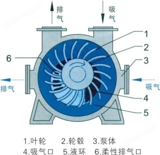 2BE型水环式真空泵结构图