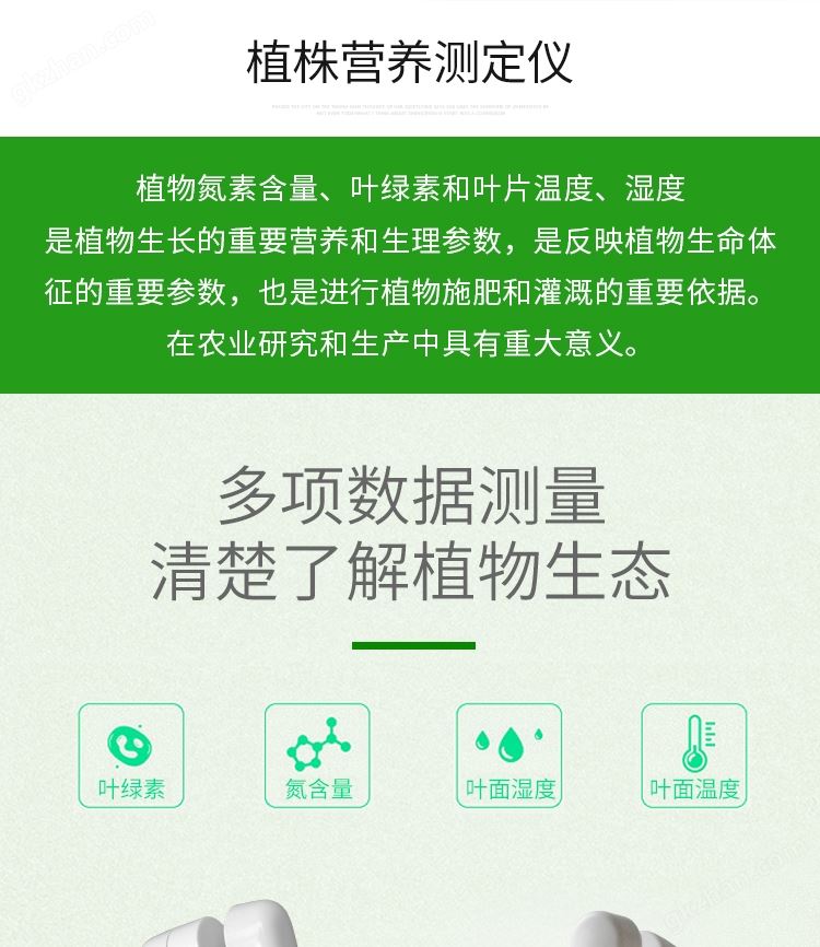 叶绿素仪