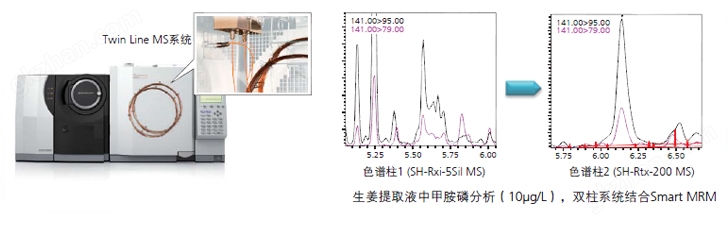 万喜堂app下载体育真人 GCMS-TQ8040