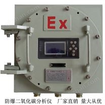 RHCO2-301防爆常量二氧化碳分析仪