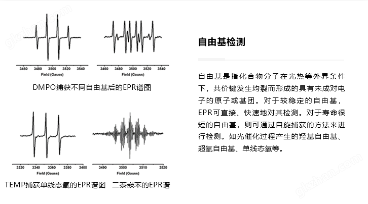 自由基检测.png