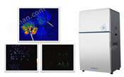 IVScope 7000系列植物活体成像系统