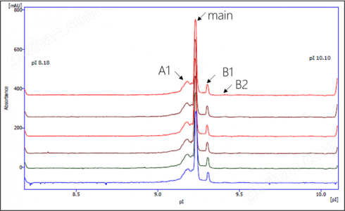 processedNISTmAb-p9rrox60db4hiptn8xszd20h1m2ukqwlsfh1a3y9kw.png