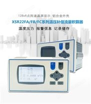 XSR22FA-VKEVT1A3B1B1S1V0流量积算器液晶显示温度压力流量积算仪